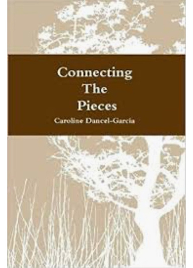 Connecting the Pieces