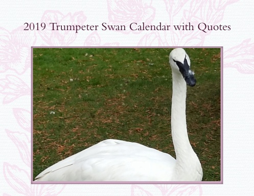 Canadian Holidays Swan Calendar