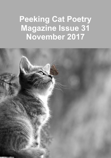 Peeking Cat Poetry Magazine Issue 31 - November 2017