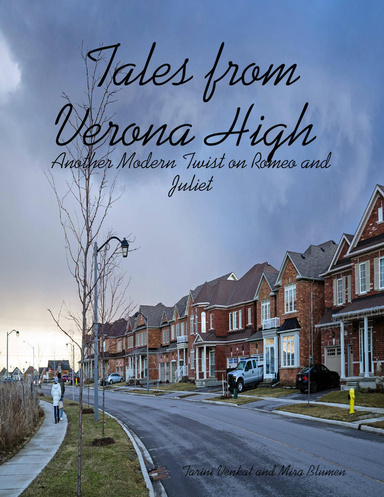 Tales from Verona High