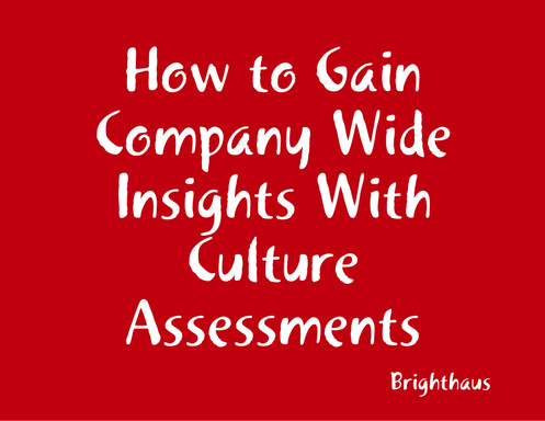 How to Gain Company Wide Insights With Culture Assessments