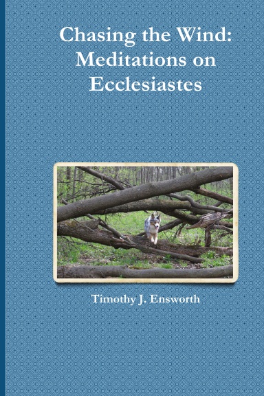 Chasing the Wind: Meditations on Ecclesiastes