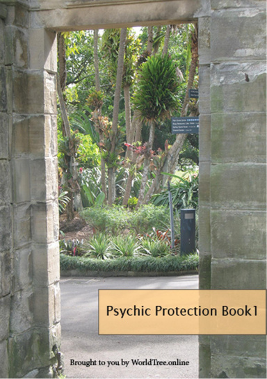 Psychic Protection Book 1