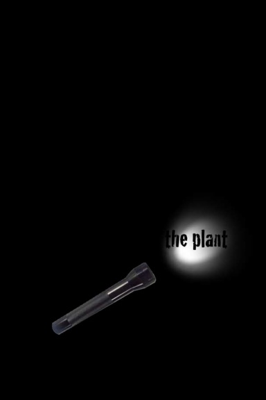 the plant