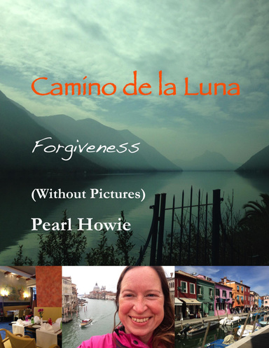 Camino De La Luna – Forgiveness (Without Pictures)