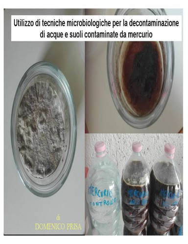 Utilizzo di tecniche microbiologiche per la decontaminazione di acque e suoli contaminate da mercurio