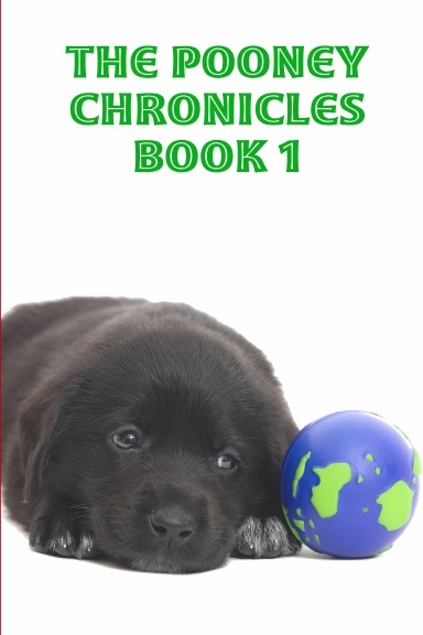 The Pooney Chronicles Book 1