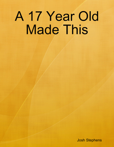 A 17 Year Old Made This