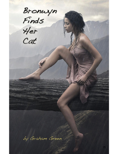 Bronwyn Finds Her Cat