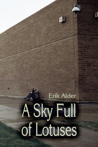 A Sky Full of Lotuses