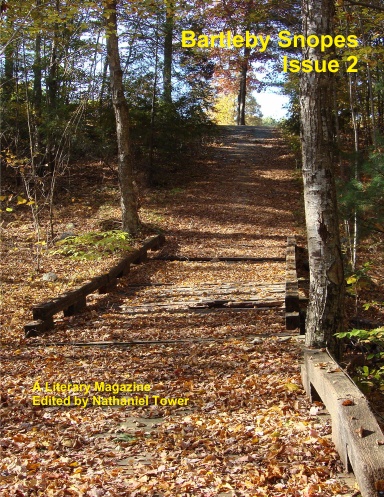Bartleby Snopes Issue 2