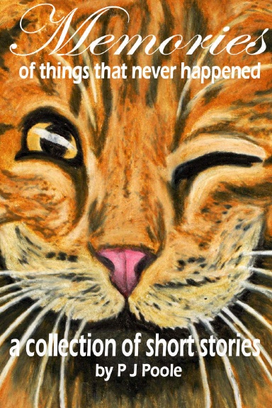 Memories of things that never happened