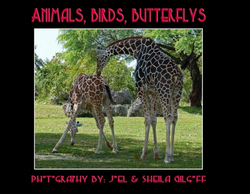 Animals, Birds, Butterflys