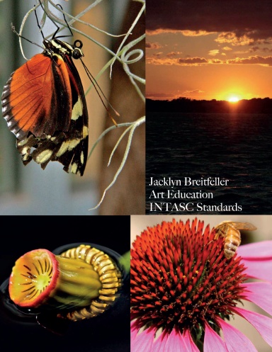 Art Education INTASC Standards