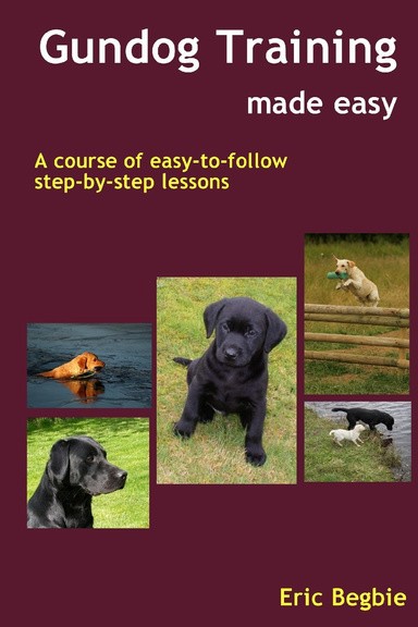 Gundog Training Made Easy: A Course of Easy-to-Follow Step-by-Step Lessons