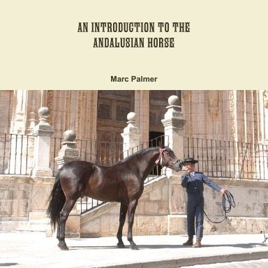 Andalusian Horse