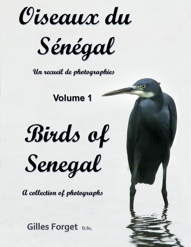 Oiseaux du Sénégal / Birds of Senegal