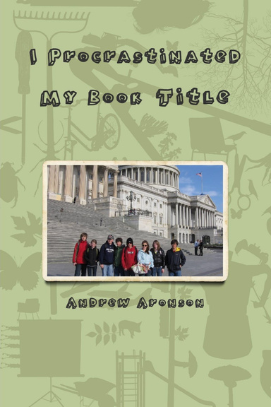 I Procrastinated My Book Title