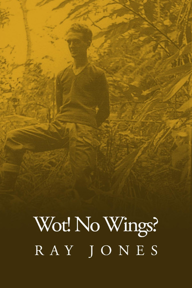 Wot! No Wings?
