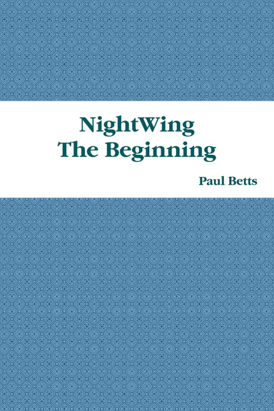 NightWing - The Beginning