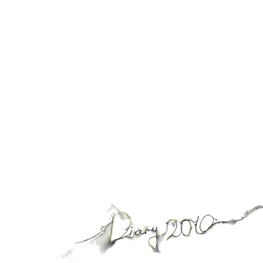 Diary 2010