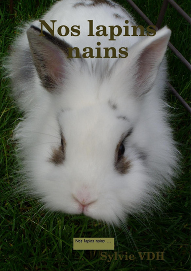 Nos lapins nains