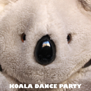 Koala Dance Party