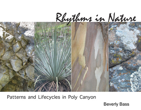 Rhythms in Nature: Patterns and Lifecycles in Poly Canyon