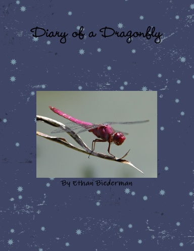Diary of a Dragonfly