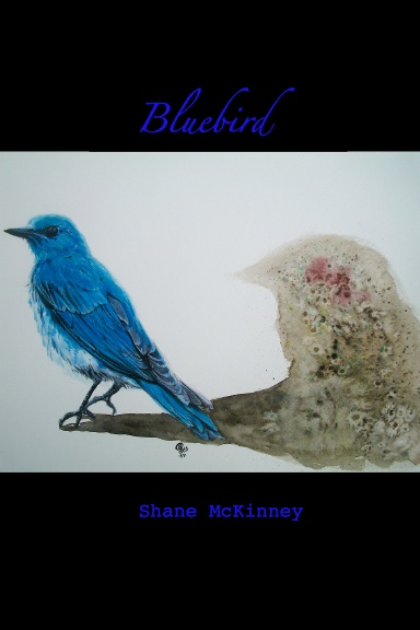 Bluebird