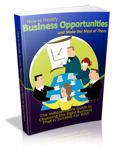 Identifying Business Opportunities