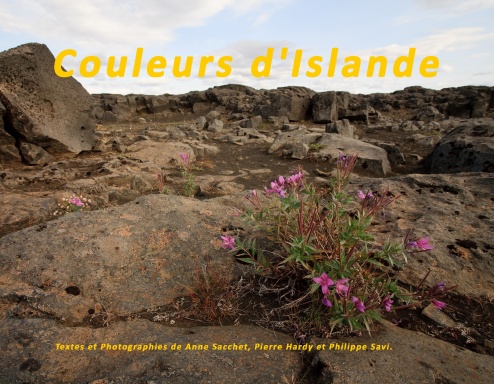 Couleurs d'Islande