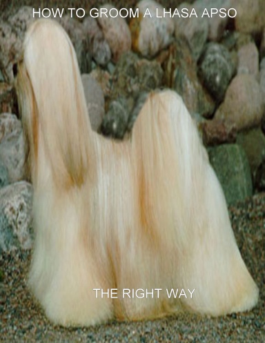 How to Groom A Lhasa ApsoThe Right Way
