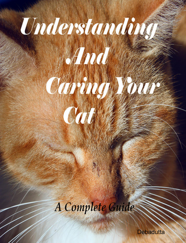 Understanding And Caring Your Cat