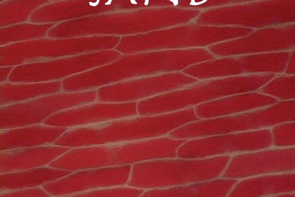 AUBURN SAND
