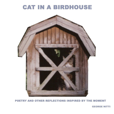 Cat in a Birdhouse