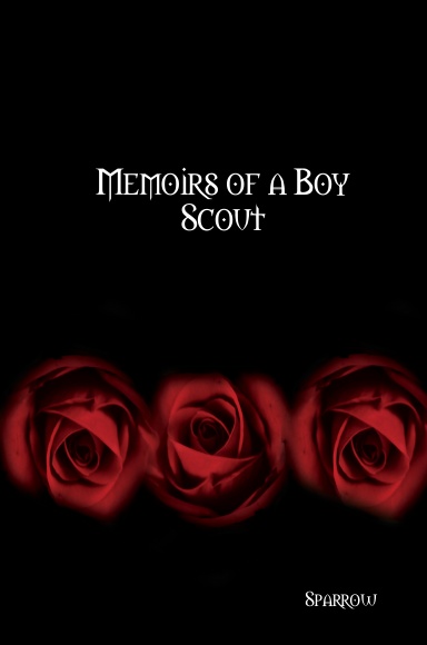 Memoirs of a Boy Scout