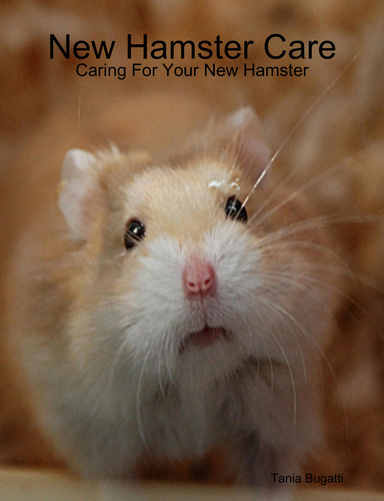 New Hamster Care