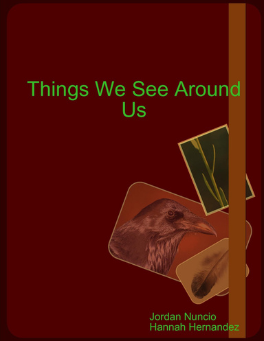 Things We See Around Us