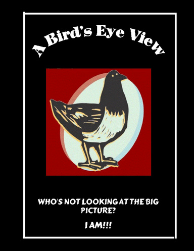 A Bird's Eye View