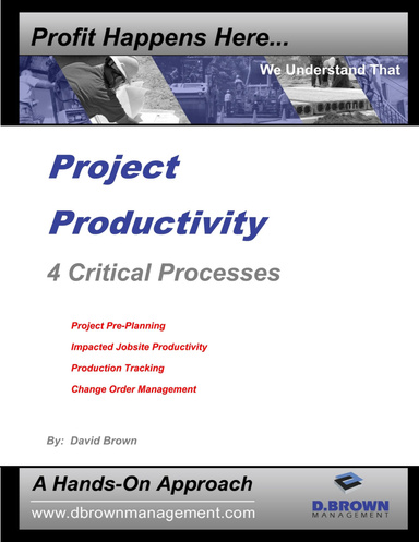 Project Productivity - 4 Critical Processes