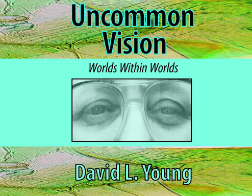 Uncommon Vision (1st)