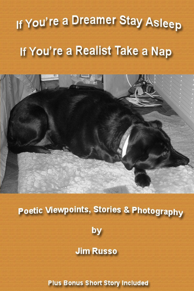 If You're a Dreamer Stay Asleep   If You're a Realist Take a Nap