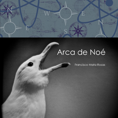 Arca de Noé