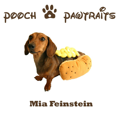 Pooch Pawtraits