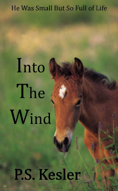 Into the Wind