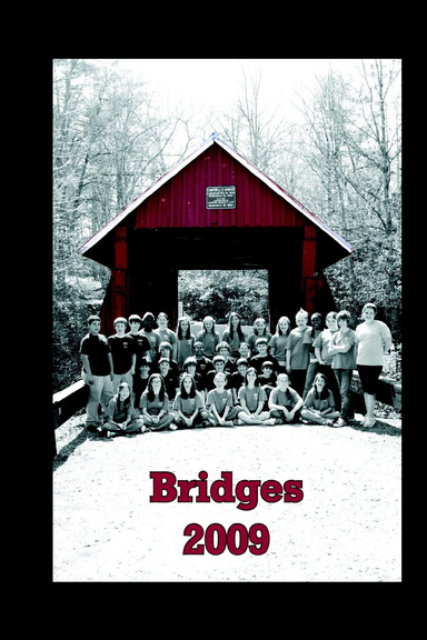 Bridges 2008-9