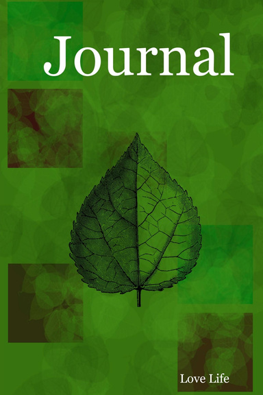 Journal