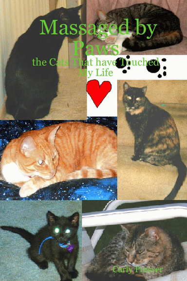 Massaged by Paws: the Cats That have Touched My Life