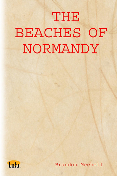 THE BEACHES OF NORMANDY